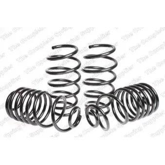 Jeu de suspensions, ressorts LESJOFORS