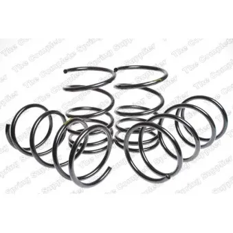 Jeu de suspensions, ressorts LESJOFORS 4588303