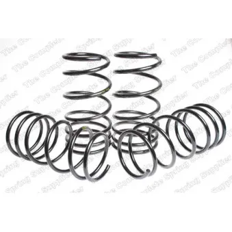 Jeu de suspensions, ressorts LESJOFORS 4588900
