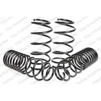 Jeu de suspensions, ressorts LESJOFORS 4595001