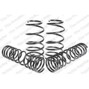 Jeu de suspensions, ressorts LESJOFORS 4595005