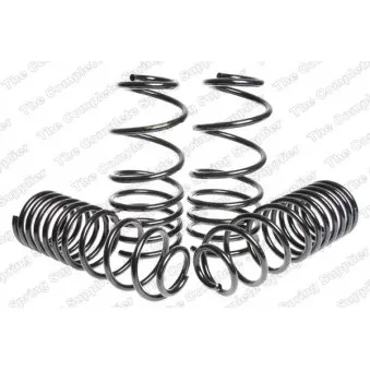 Jeu de suspensions, ressorts LESJOFORS 4595009
