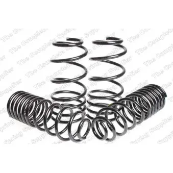 Jeu de suspensions, ressorts LESJOFORS 4595013