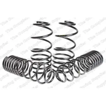 Jeu de suspensions, ressorts LESJOFORS 4595014