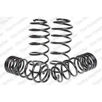 Jeu de suspensions, ressorts LESJOFORS 4595015
