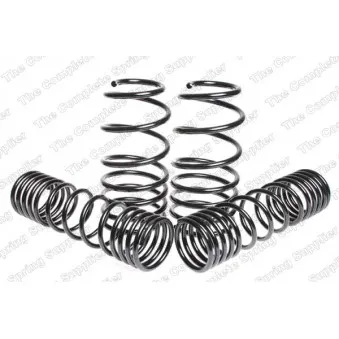 Jeu de suspensions, ressorts LESJOFORS 4595028