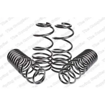Jeu de suspensions, ressorts LESJOFORS 4595038