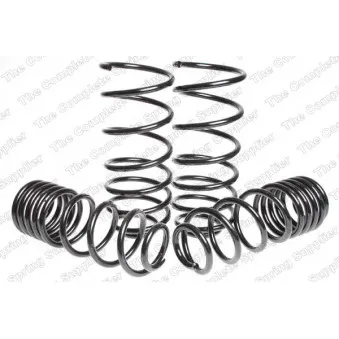 Jeu de suspensions, ressorts LESJOFORS 4595043