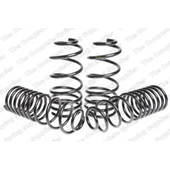 Jeu de suspensions, ressorts LESJOFORS 4595050