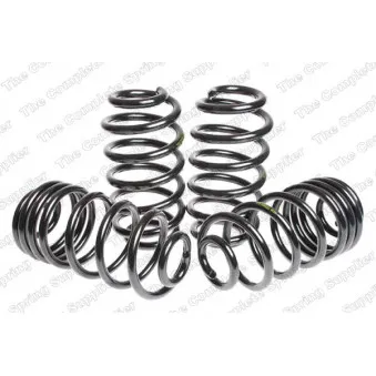 Jeu de suspensions, ressorts LESJOFORS 4595062