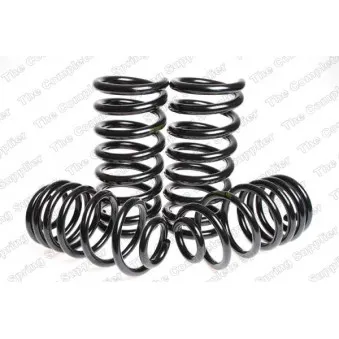 Jeu de suspensions, ressorts LESJOFORS 4595072