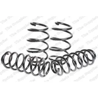 Jeu de suspensions, ressorts LESJOFORS 4595074
