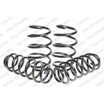 Jeu de suspensions, ressorts LESJOFORS 4595075