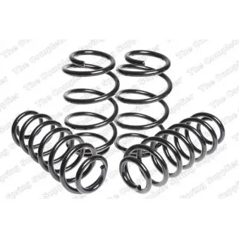 Jeu de suspensions, ressorts LESJOFORS 4595078