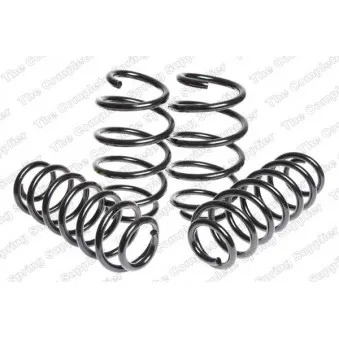 Jeu de suspensions, ressorts LESJOFORS 4595080
