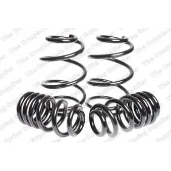Jeu de suspensions, ressorts LESJOFORS 4595085