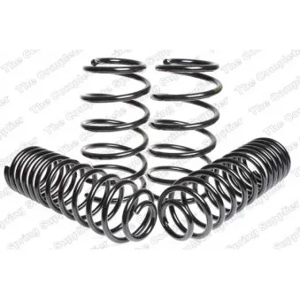 Jeu de suspensions, ressorts LESJOFORS 4595807