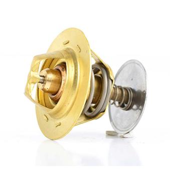 Thermostat d'eau BSG BSG 30-125-002