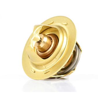 Thermostat d'eau BSG BSG 30-125-009