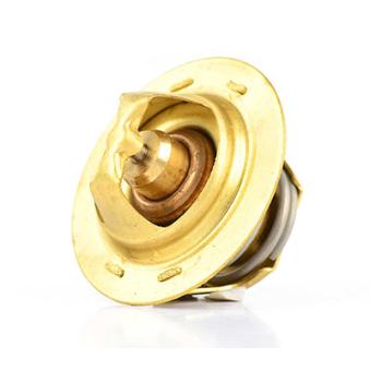 Thermostat d'eau BSG BSG 30-125-011