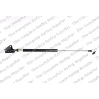 Vérin de hayon, de coffre arrière gauche LESJOFORS