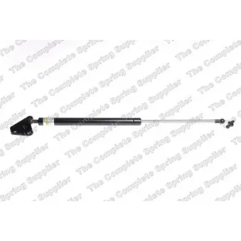 Vérin de hayon, de coffre arrière droit LESJOFORS