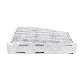 Filtre, air de l'habitacle BSG BSG 90-145-013