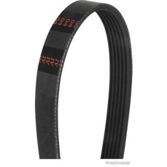 Courroie trapézoïdale à nervures HERTH+BUSS JAKOPARTS J1061685