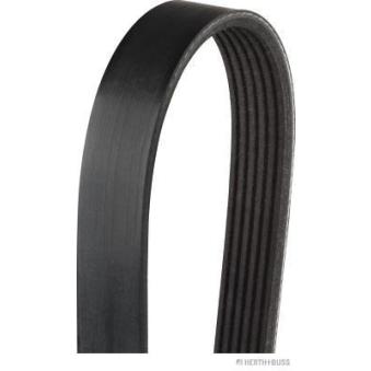 Courroie trapézoïdale à nervures HERTH+BUSS JAKOPARTS J1062196