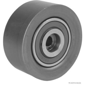 Poulie renvoi/transmission, courroie de distribution HERTH+BUSS JAKOPARTS