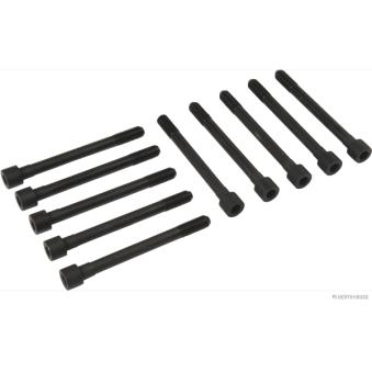 Jeu de boulons de culasse de cylindre HERTH+BUSS JAKOPARTS