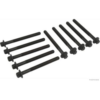Jeu de boulons de culasse de cylindre HERTH+BUSS JAKOPARTS J1281037