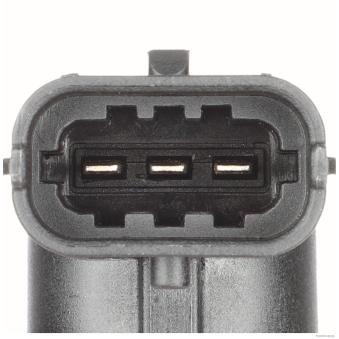 Capteur, position d'arbre à cames HERTH+BUSS ELPARTS