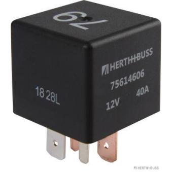 Minuterie multifonctions HERTH+BUSS ELPARTS 75614606