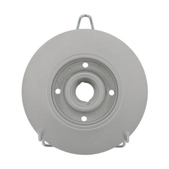 Jeu de 2 disques de frein arrière FERODO DDF137C-1