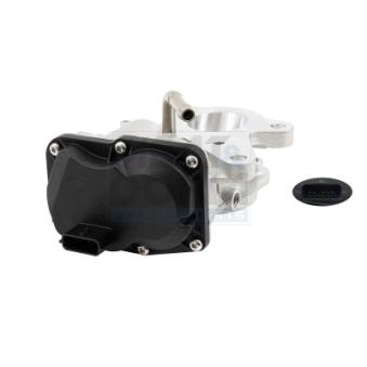 Vanne EGR MEAT & DORIA