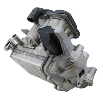 Module-EGR MEAT & DORIA