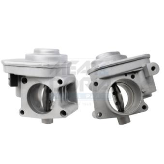 Corps papillon MEAT & DORIA