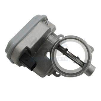 Corps papillon MEAT & DORIA