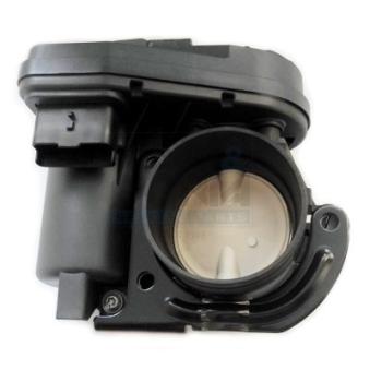 Corps papillon MEAT & DORIA