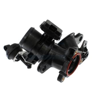 Corps papillon MEAT & DORIA