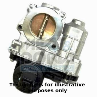 Corps papillon MEAT & DORIA 89167R