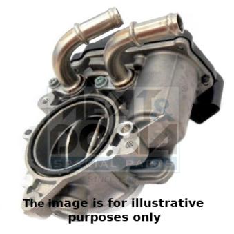 Corps papillon MEAT & DORIA 89230R