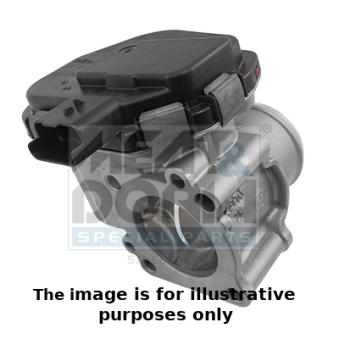 Corps papillon MEAT & DORIA