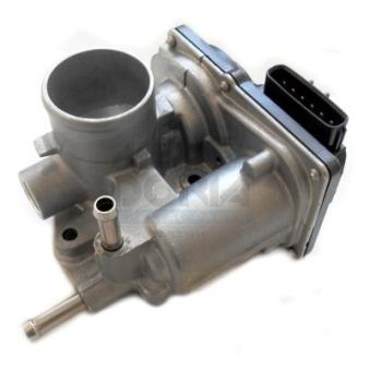 Corps papillon MEAT & DORIA