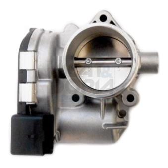 Corps papillon MEAT & DORIA