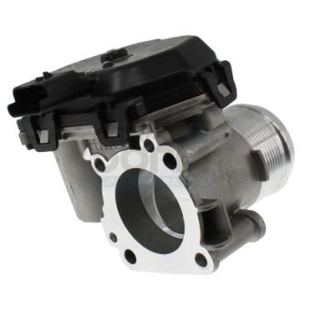 Corps papillon MEAT & DORIA