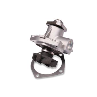 Pompe à eau HEPU P065S