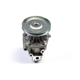 Pompe à eau HEPU P095