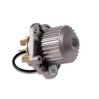 Pompe à eau HEPU P1075